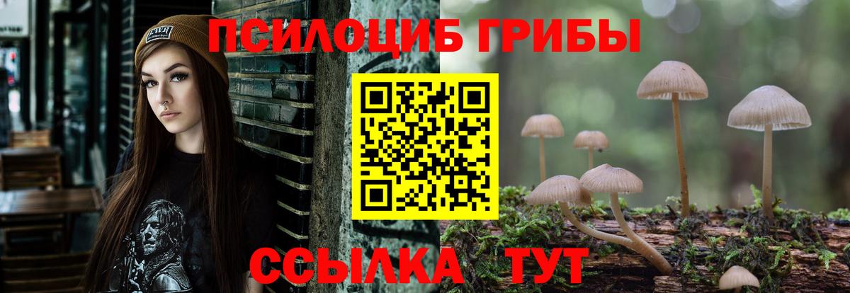 Псилоцибиновые грибы Magic Shrooms  Вход с VPN  Комсомольск-на-Амуре 